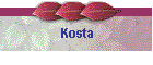 Kosta