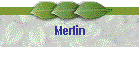 Merlin